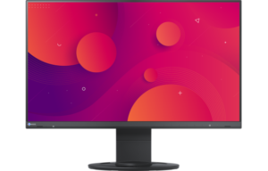 EIZO EV2460