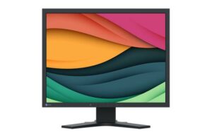 EIZO S2134